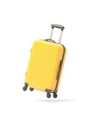 Sacs de voyages et de transports